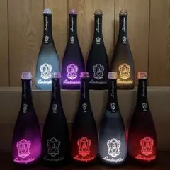 2025年最新】ランボルギーニシャンパンの人気アイテム - メルカリ