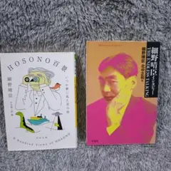 HOSONO百景 & 細野晴臣インタビュー２冊セット