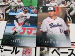 130 131/BBM 2024 1st ヤクルト 2枚セット