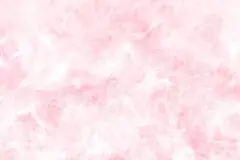 ハチさん 専用ページ