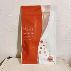 スラレグ