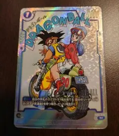 チチ パラレル R