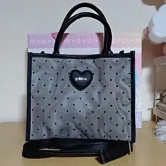 pium SPECIAL BAG BOOK　バッグのみ