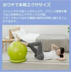 Re バランスボール 55cm モスグリーン