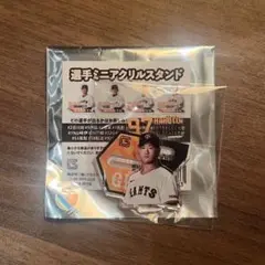 巨人　ジャイアンツ　ミニアクリルスタンド　井上温大