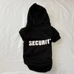 Item thumbnail for item 845c5398-6514-47f6-90c5-5b5fc7c59103