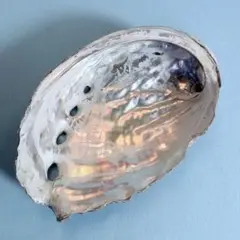 Item thumbnail for item 1d8ea33e-bf6c-49c8-a30f-a523e270d410