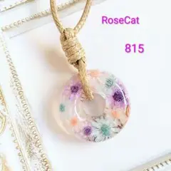 Item thumbnail for item 3054210d-3625-440a-9054-91161b0a0b9d