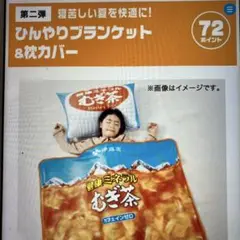 伊藤園ミネラル麦茶キャンペーン　ひんやりブランケット＆枕カバー