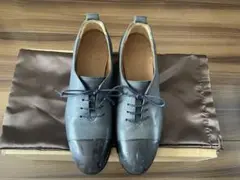 Item thumbnail for item 3c5b7557-0018-423a-8a4b-d384f2083eec