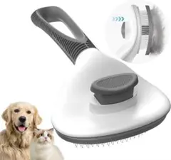 Item thumbnail for item 77ddffd8-21c2-46f8-a7be-c5e03ed3c615