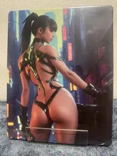 Ps5 Stellar Blade Special Editionスチールブック