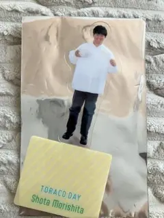森下　プラスチックフィギュア　TORACO