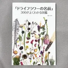 「ドライフラワーの名前」 300がよくわかる図鑑