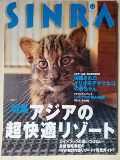 ネイチャー誌　SINRA シンラ　アジアの超快適リゾート　シマウマ　1997
