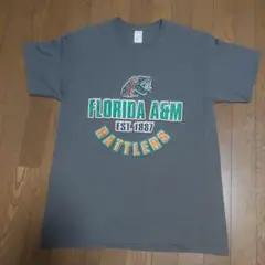 Florida A&M Rattlers Tシャツ グレー