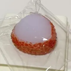 海外スクイーズ　ぷにぷにライチ　本物そっくり！