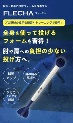 FLECHA 練習用具 青 MIZUNO 【メーカー直送品】FLECHA フレーチャ アイピーセレクト