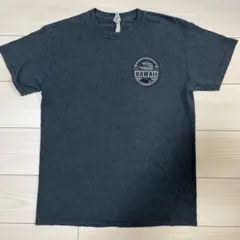 Hawaii ロゴ Tシャツ Mサイズ ダークグレー