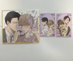drap 25周年 アニメイト 色紙 ひなこ