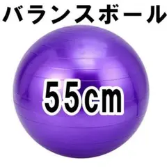 バランスボール ジム ヨガ フィットネス パープル 55cm