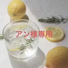 アン様専用
