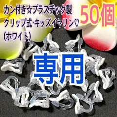 専用ページ