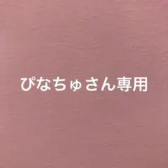 プリンセススリム S 正規品 新品未使用