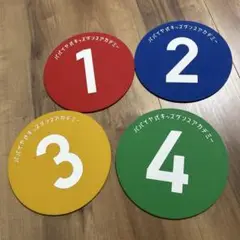 セイハダンスアカデミーマット