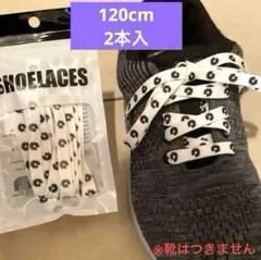 Item thumbnail for item dd87e4c0-b7c0-49bf-b55c-1348b26e87f2