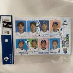 北海道日本ハムファイターズ　野村祐希　証明写真風　ステッカー