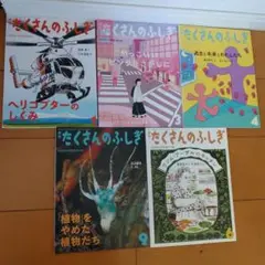 たくさんのふしぎ　2023年～2024年　5冊 セット売り