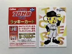 プロ野球チップスカード 2025 ラッキーカード＆阪神タイガース トラッキー