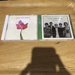 GONG UNDER GROUND アルバム2枚セット