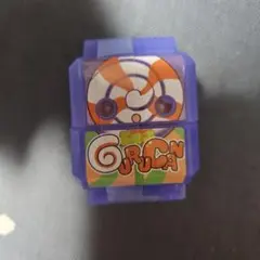 ゴチゾウ 新種！