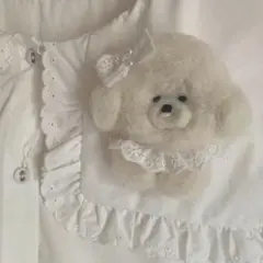 ぺろんちょわんこぶろーち♡モフモフフワフワおんなのこ♡一緒におでかに連れてって♡