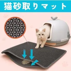 Item thumbnail for item 68c98734-f93d-450c-9a0d-3f2182bd1f75