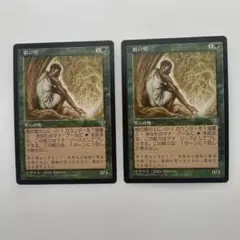 MTG　根の壁　日本語　ミラージュ 旧枠　黒枠　2枚まとめ