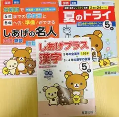 5年生 ドリルセット