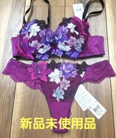 新品 サルート ブラandソングセット 30シリーズ