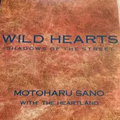 MOTOHARU SANO WILD HEARTS レコード