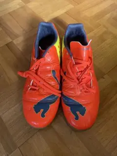 Puma evopower エボォパワー プーマ