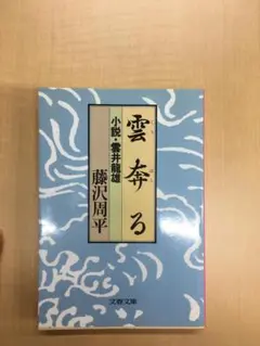 雲奔る 小説・雲井竜雄
