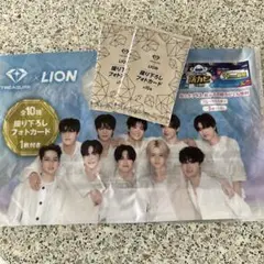 TREASURE × LION フォトカードセット