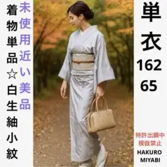 未使用近い　美品　単衣　紬　生紬　しろすみれ色　単品　白紬