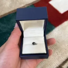 ブラックダイヤモンド ペンダントトップ チャームのみ