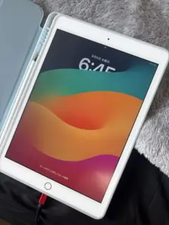 Apple iPad (第7世代) ゴールド 32GB 本体