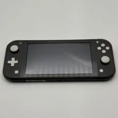ニンテンドースイッチ　Lite グレー　②