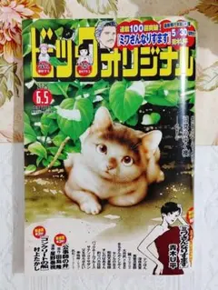 ビッグコミックオリジナル 2025年6月5日号 雑誌 週刊誌