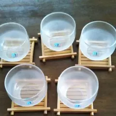 Item thumbnail for item e547b0e4-8ccb-47db-8d5d-2a7aaf1feff1